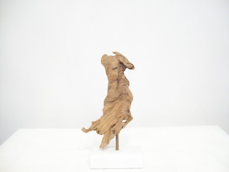 ΞΥΛΟ ΘΑΛΑΣΣΗΣ