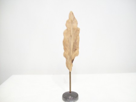 ΞΥΛΟ ΘΑΛΑΣΣΗΣ