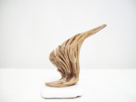 ΞΥΛΟ ΘΑΛΑΣΣΗΣ 