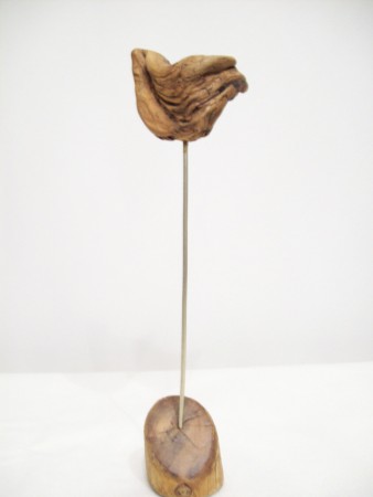 ΞΥΛΟ ΘΑΛΑΣΣΗΣ