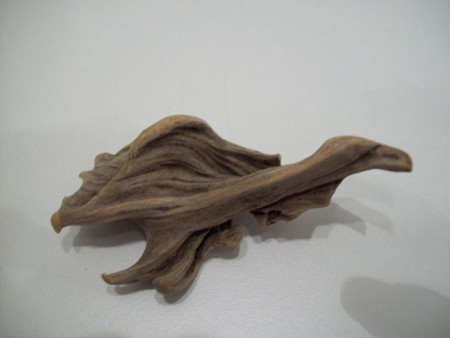 Driftwood