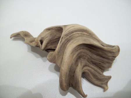 Driftwood